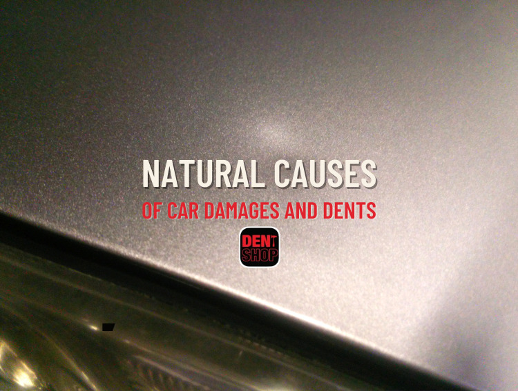 Natural Causes of Car Damages and Dents